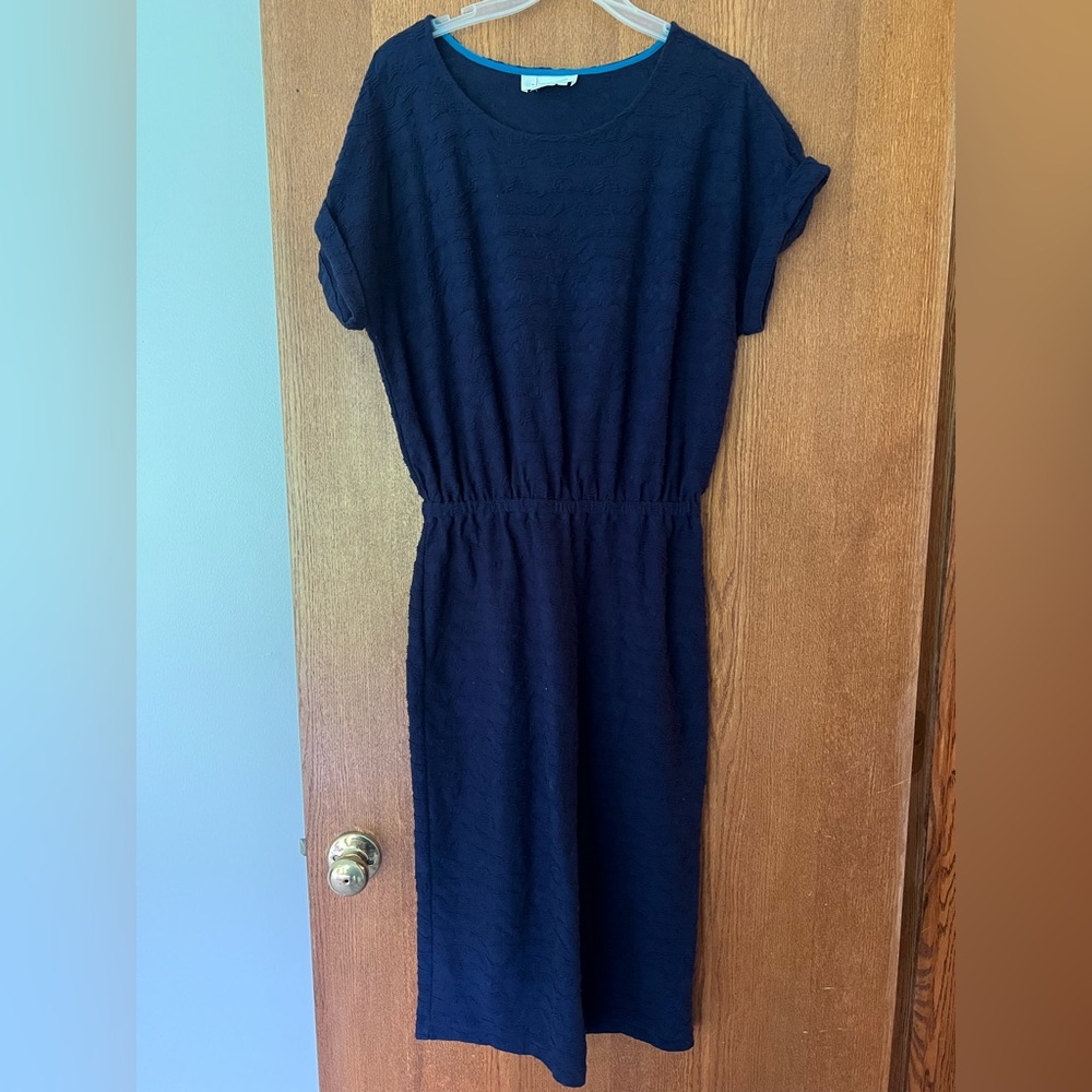 Anthropologie Dress Size Small